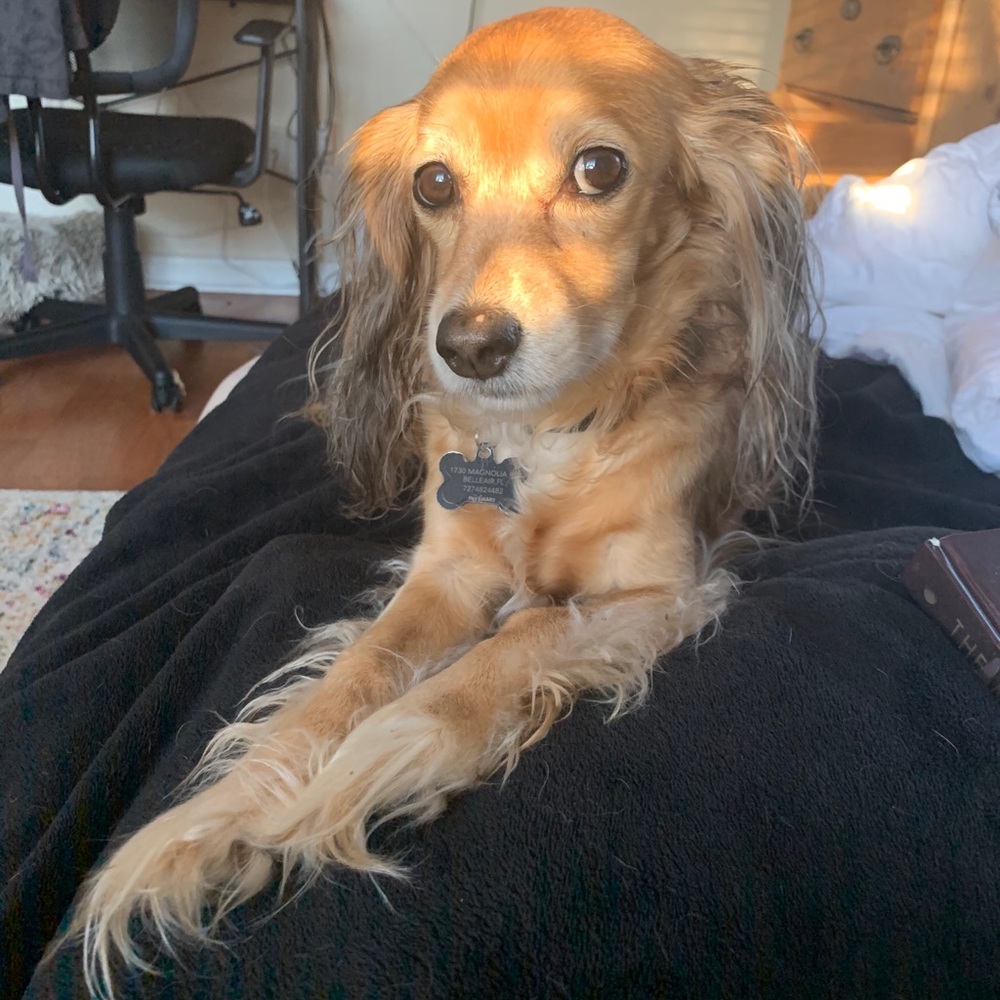 Meet your Posher, Rachel